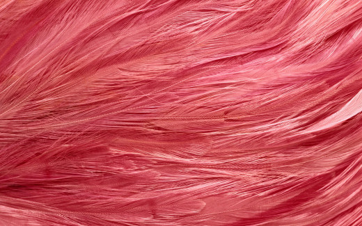 448815 (a): :1920x1200